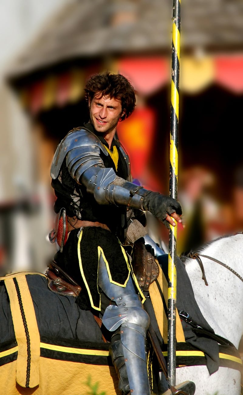 Renaissance Knight
